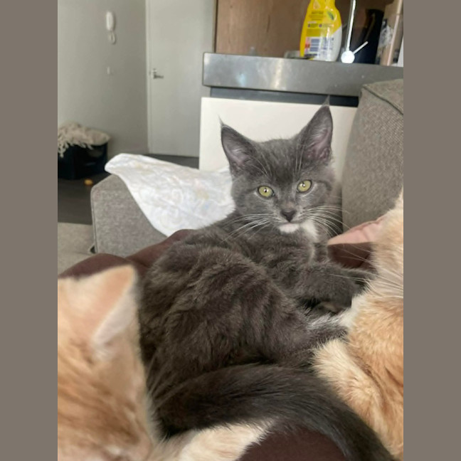 Photo of Stormi