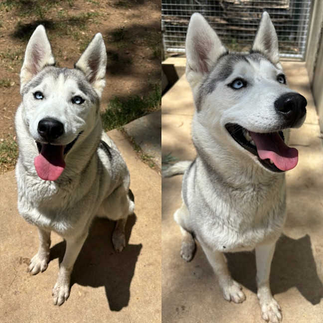 Photo of Bella