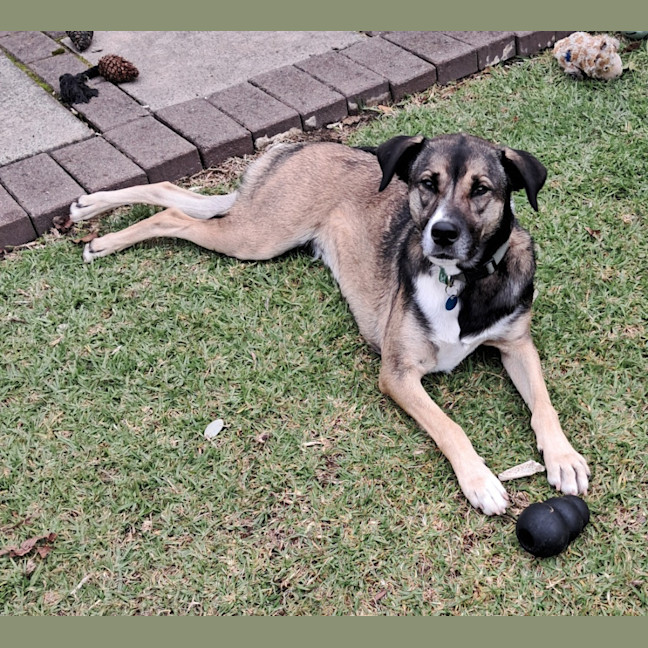Photo of Mocha