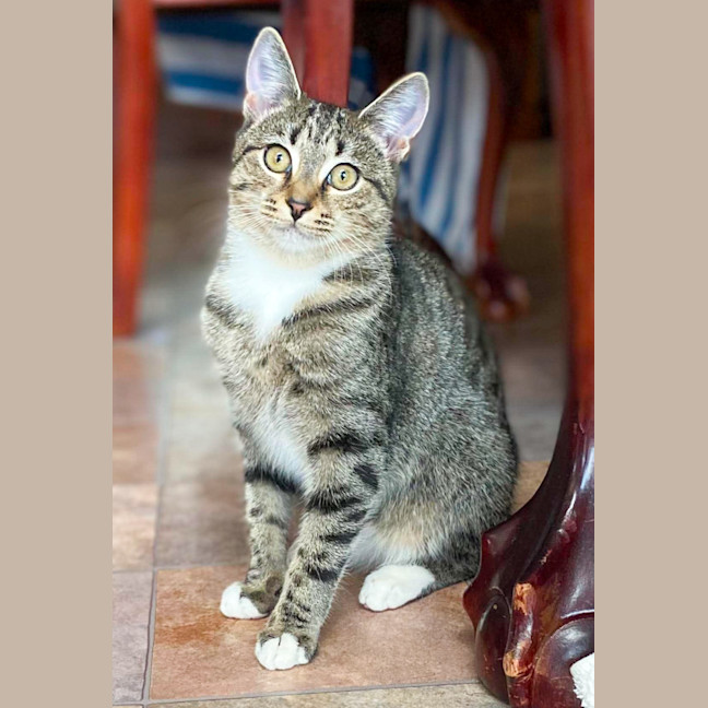 Photo of Bella