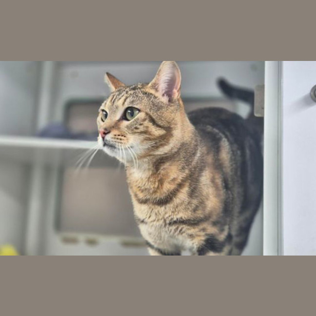 Photo of Millicent
