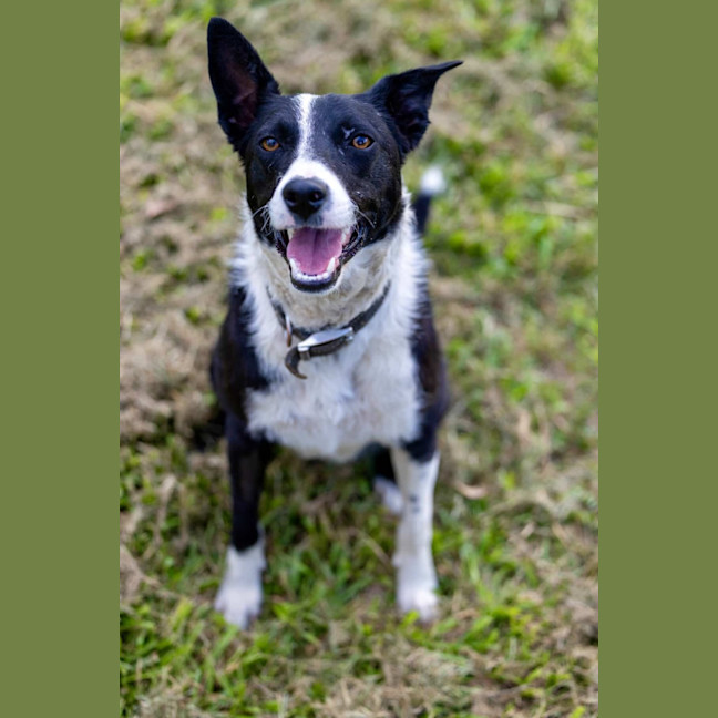 Photo of Bonnie