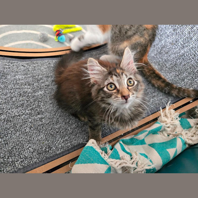 Photo of Sophie 🌺🌺