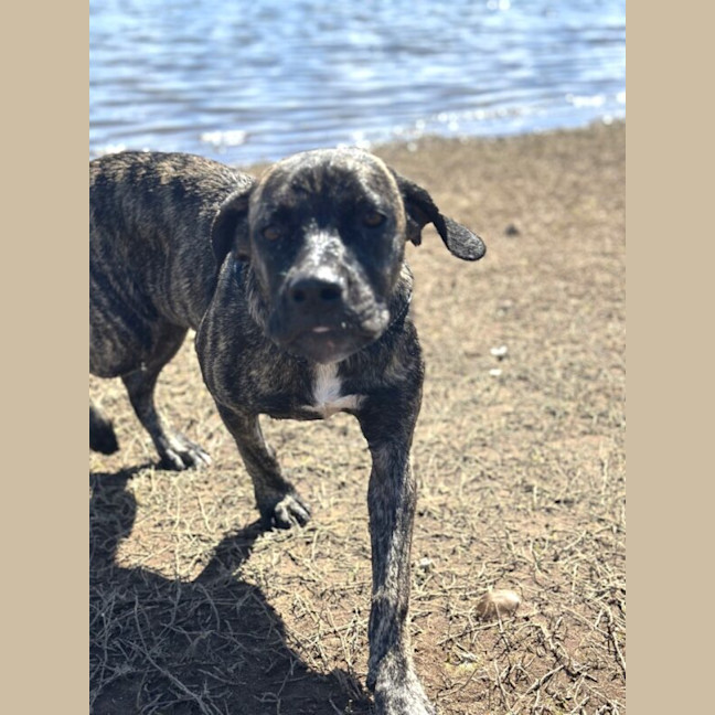 Photo of Lucy