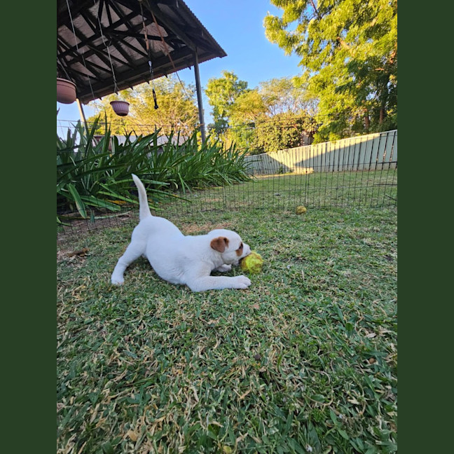 Photo of Jemima