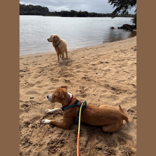 Photo of Coco