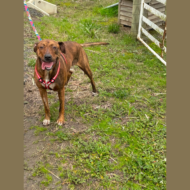 Photo of Winnie