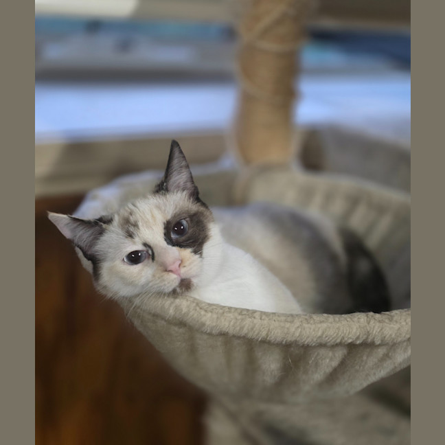 Photo of Dairy Queen