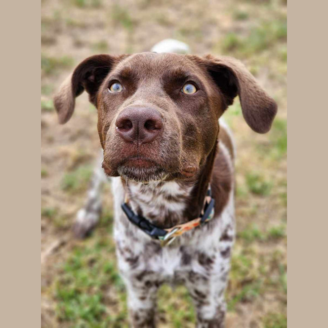 Photo of 🍟 Jack Jack 5561 🍟