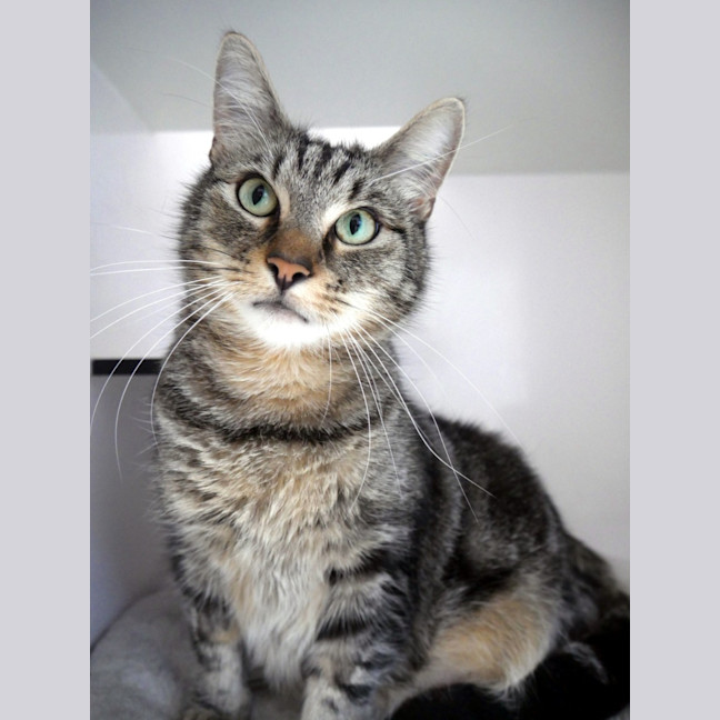 Photo of Fred Sua013133