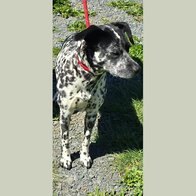Photo of Zena
