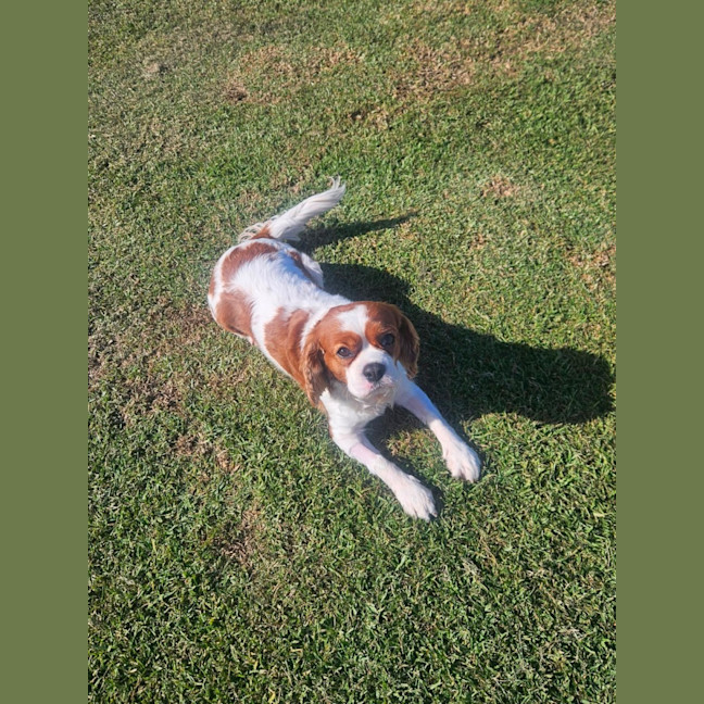 Photo of Elsa 
