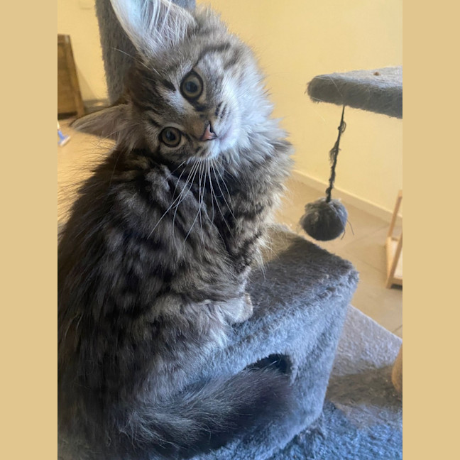 Photo of Princess