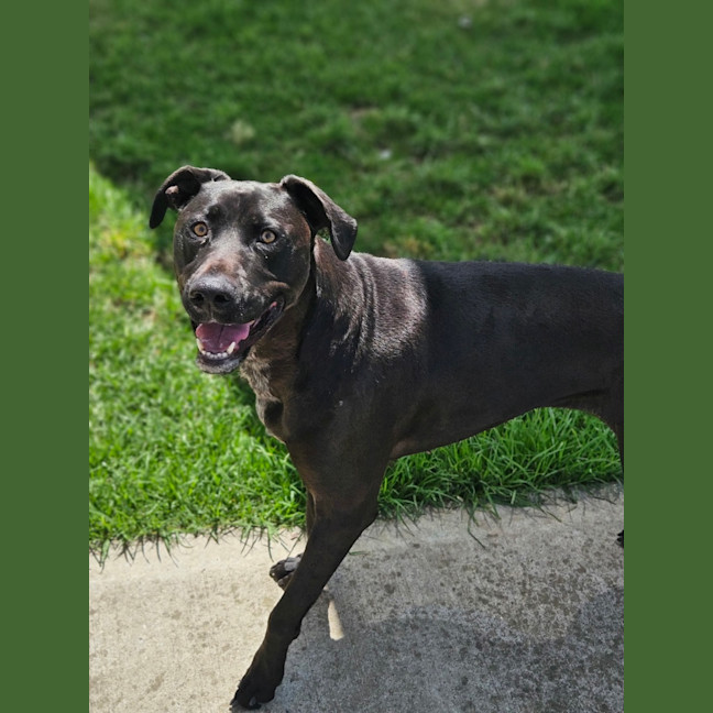 Photo of Phy (Phoebe Buffay)