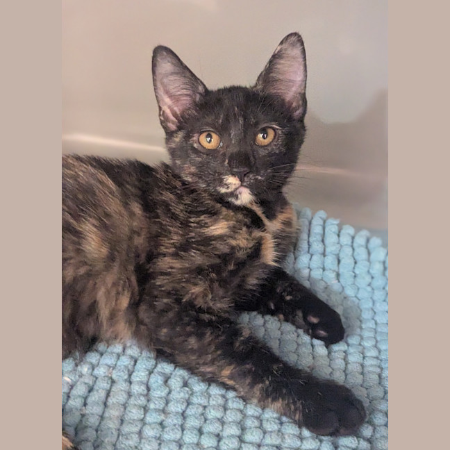 Photo of Lilith