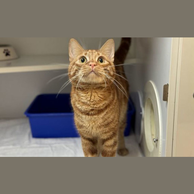 Photo of Clyde