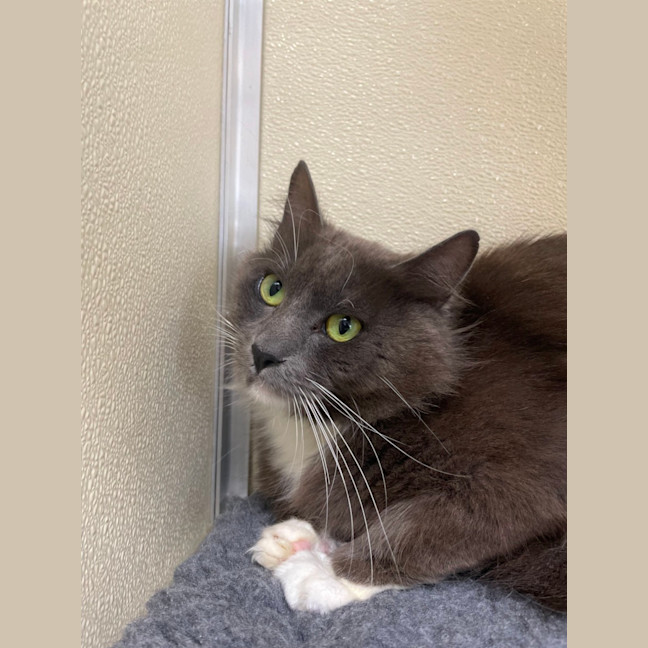 Photo of ✈ Reuben 5603 ✈