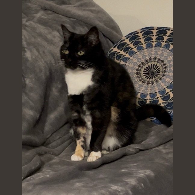 Photo of A Special Little Lady