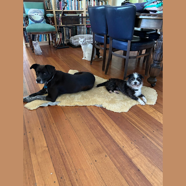 Photo of Tater