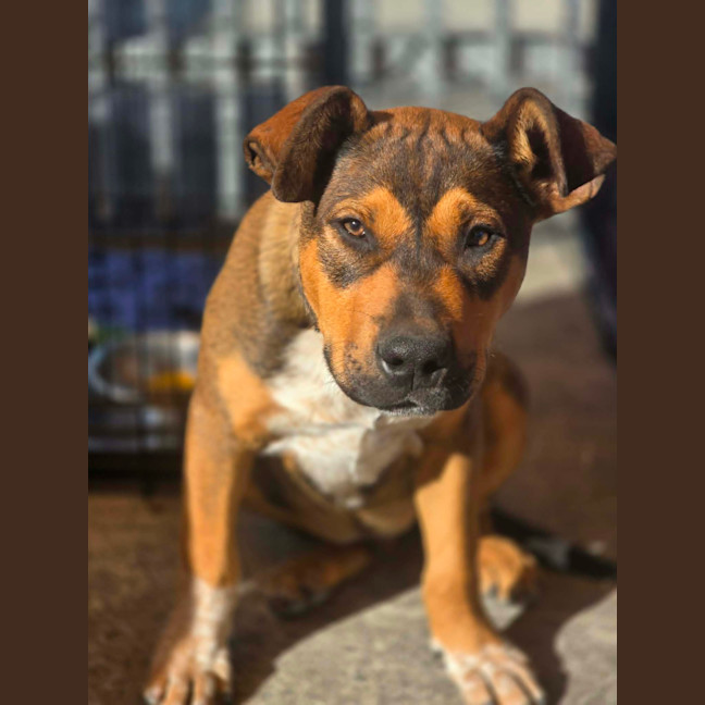 Photo of Prada