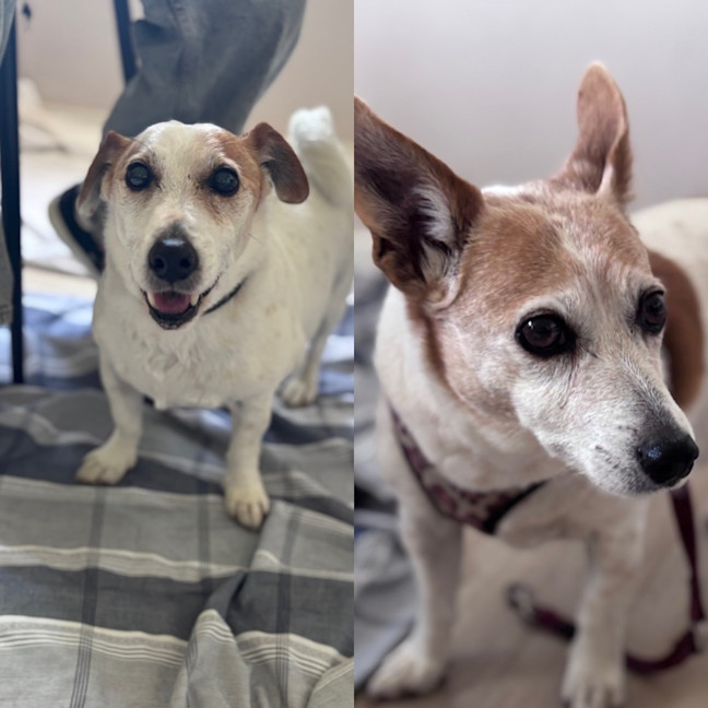 Photo of Tiara And Choppa