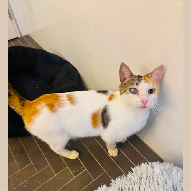 Photo of Molly