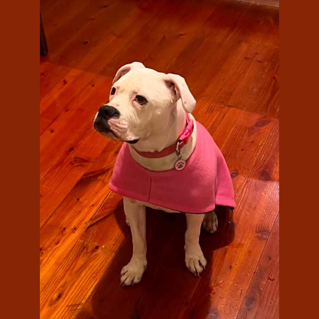 Photo of Lily