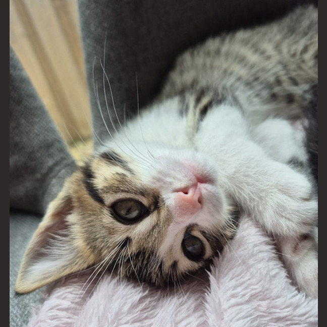 Photo of Amber & Arlee 🌷🌷