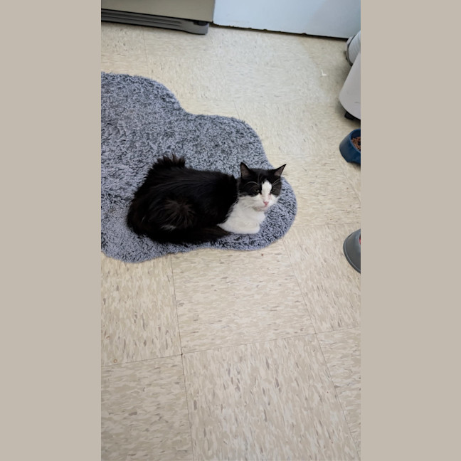 Photo of Miss Biccies