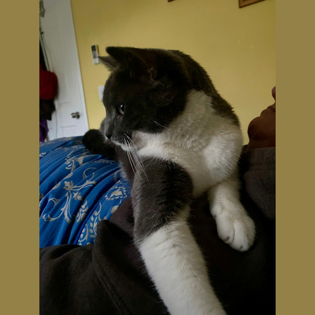 Photo of Lulu