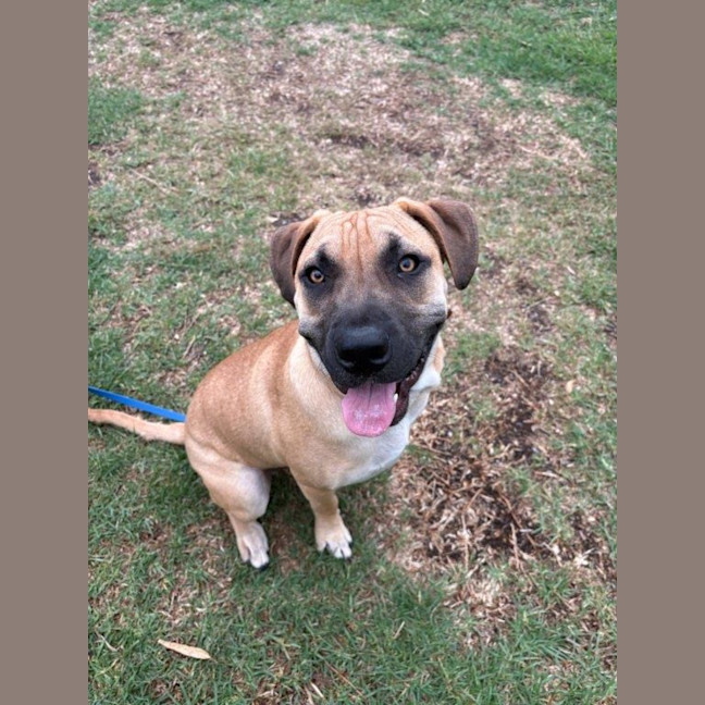 Photo of Liam O’cleary