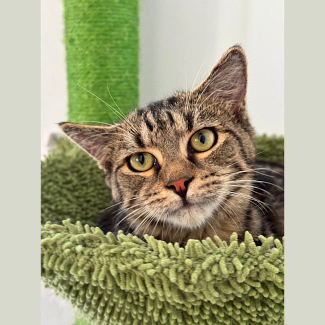 Photo of Gigi