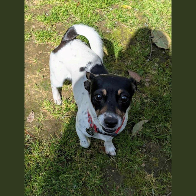 Photo of Mabel Uffelman  