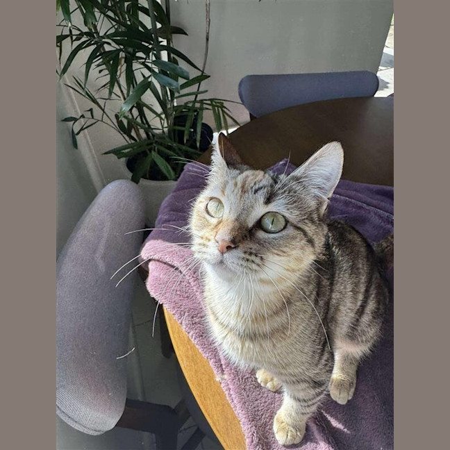 Photo of Xena