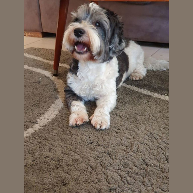 Photo of Mack Jablonski