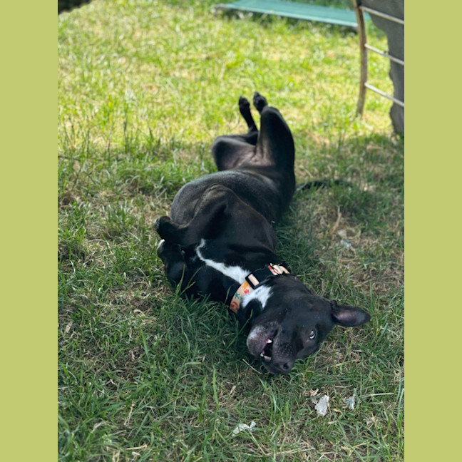 Photo of 🍂 Sienna 5634 🍂