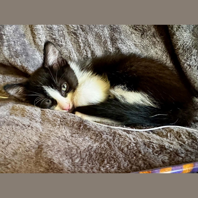 Photo of Steve