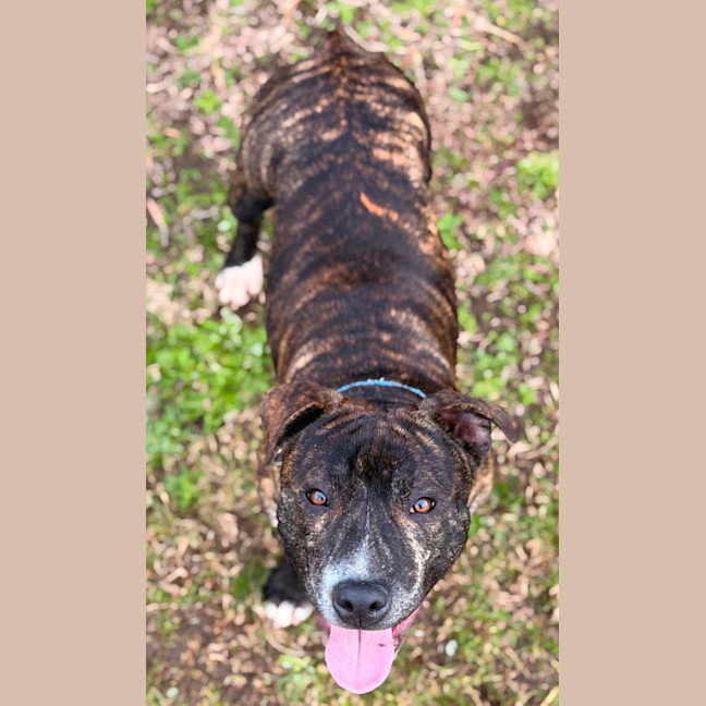Photo of Tucker