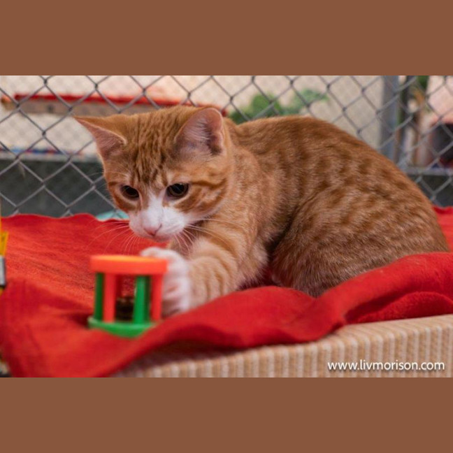 Photo of Diego Moriarty