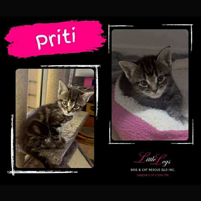 Photo of Priti