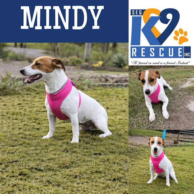 Photo of Mindy