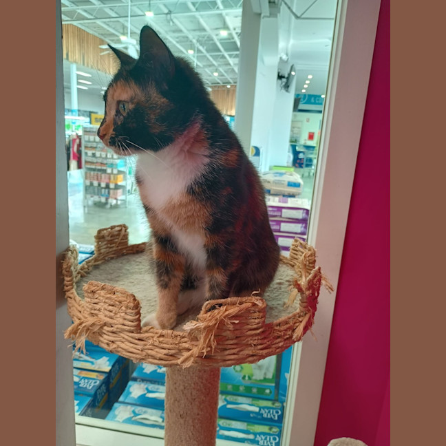 Photo of Mumma Patti 