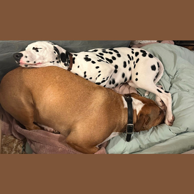 Photo of Billy