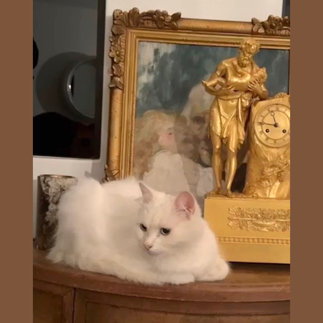 Photo of Max