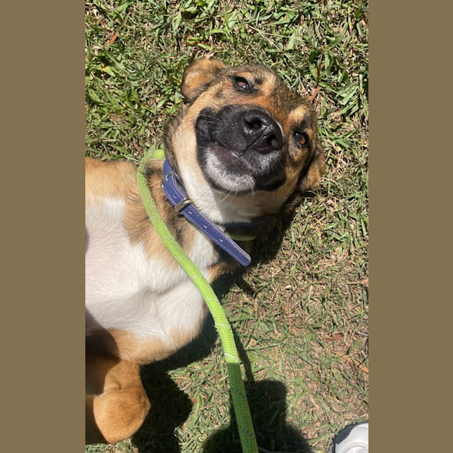Photo of Ripley
