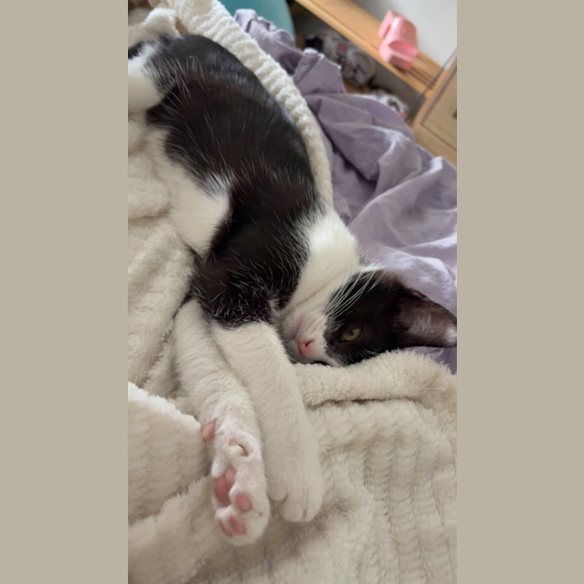 Photo of Daisy