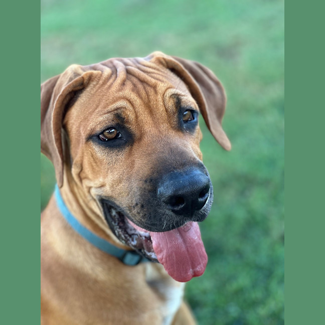 Photo of Tex