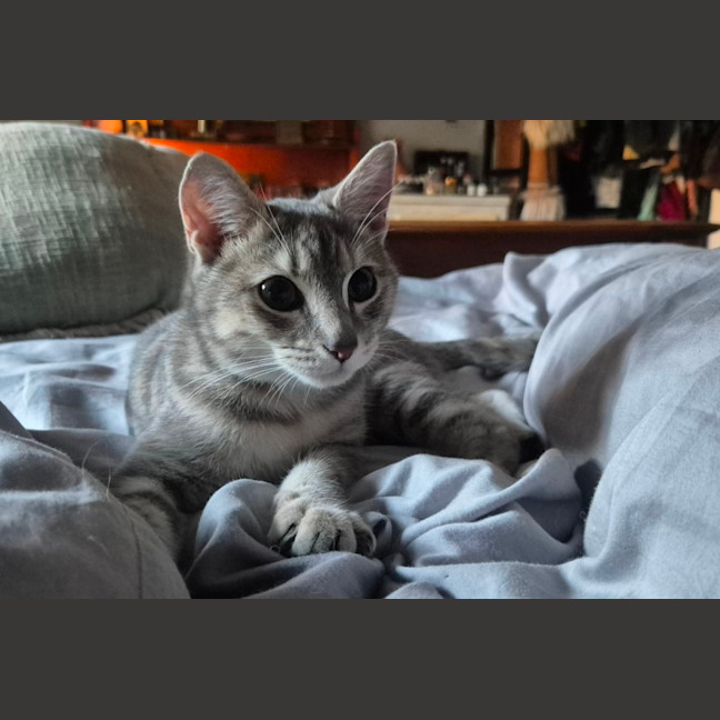 Photo of Rain (8959)