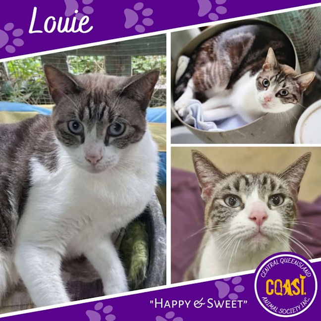 Photo of Louie