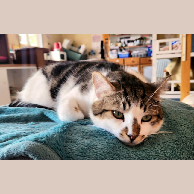 Photo of Thor. A Laugh A Minute!